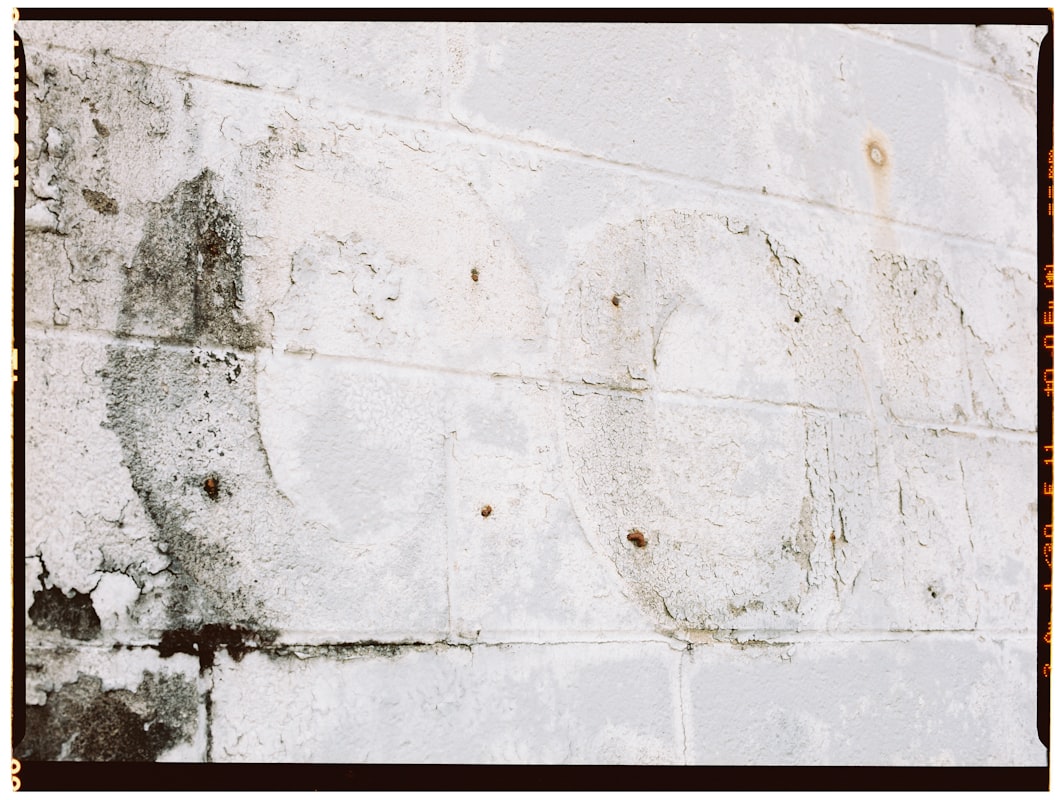 Water Extraction service in Vineland, NJ